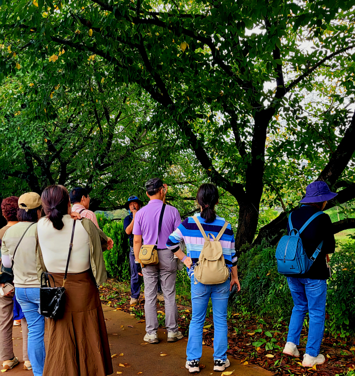 이야기가 있는 황구지천 가로수길 걷기