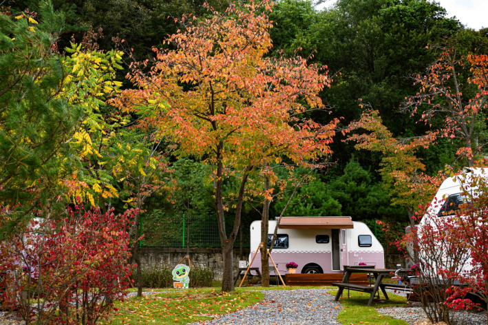 청량산 수원캠핑장.
