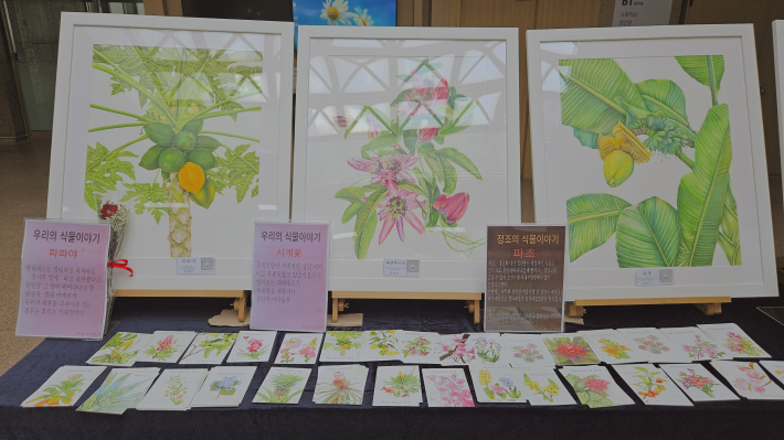 우리의 식물 '파파야', '시계꽃', '파초'