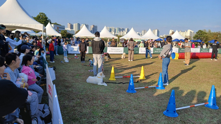 '견공올림픽2' 기다려 대회하는 장면