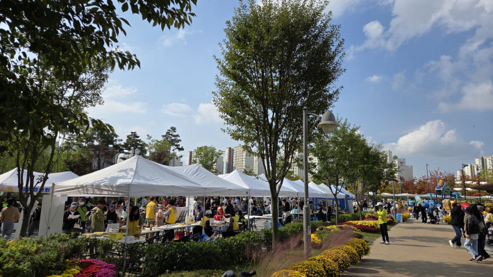 다양한 국화를 선보이고 있는 국화 예술제