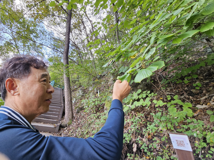 권기범 회장이 히어리나무에 관해 설명하고 있다