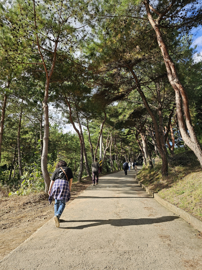 그윽하고  청청한 괴산 숲길을 걷다