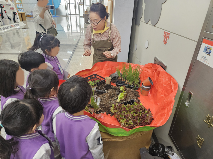 상추와 쪽파 수원딸기를 직접 관찰하며 모종을 심는 체험을 기다리고 있는 어린이들 - 제공 수원 씨앗 도서관