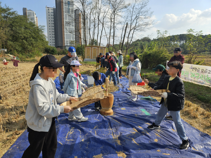 탈곡 체험 중인 초등학생