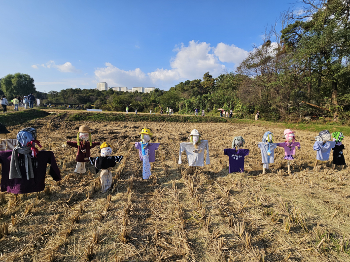 시민 가족들이 완성한 허수아비