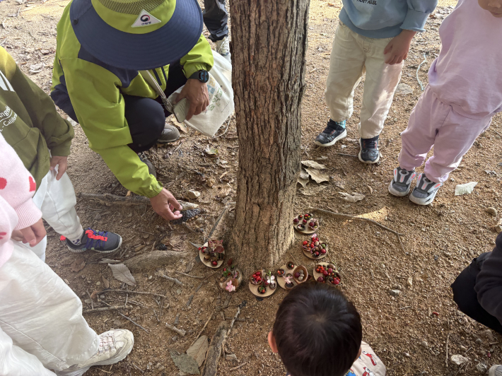 나무 주위를 둘러서  놓여진 나무 생일상의 모습