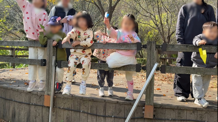 단풍나무 열매처럼 종이를 하늘로 날리는 아이들의 모습.