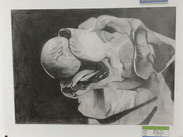 대상, 청주혜원학교 이명 학생<행복한 소통>, 작품