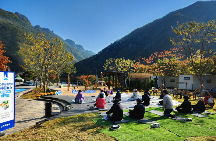 숲속 요가 체험 장면