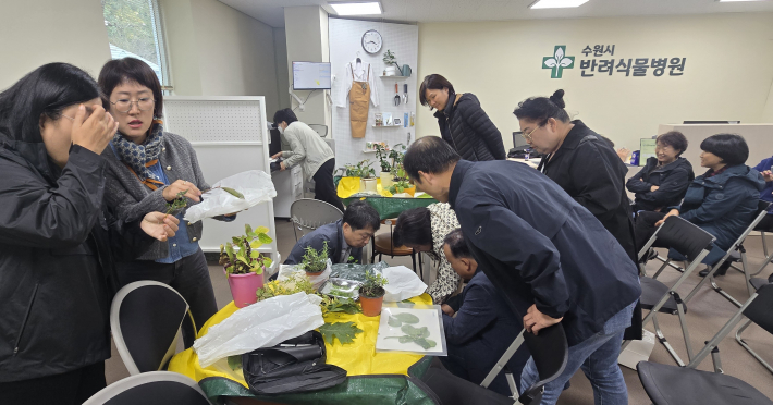 전문가들이 반려식물 진단 처방을 위해 관찰하고 있다. 