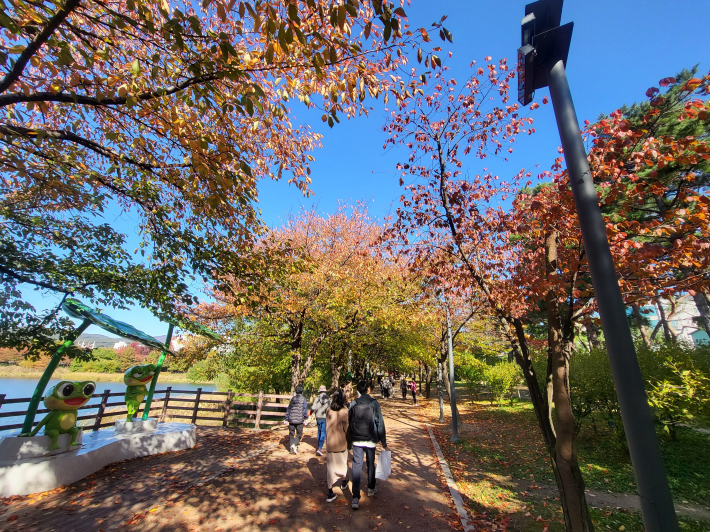 만석공원에 펼쳐진 오색 단풍을 즐긴 시민들  