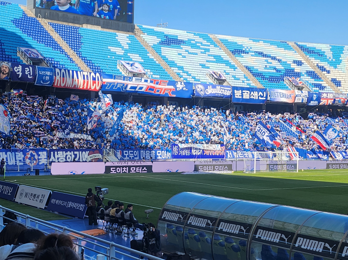 열광적인 응원을 펼치고 있는 '프렌테 트리콜로'