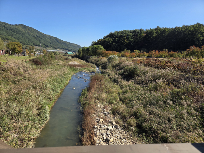 백두대간 수목원에서 흐르는 실개천