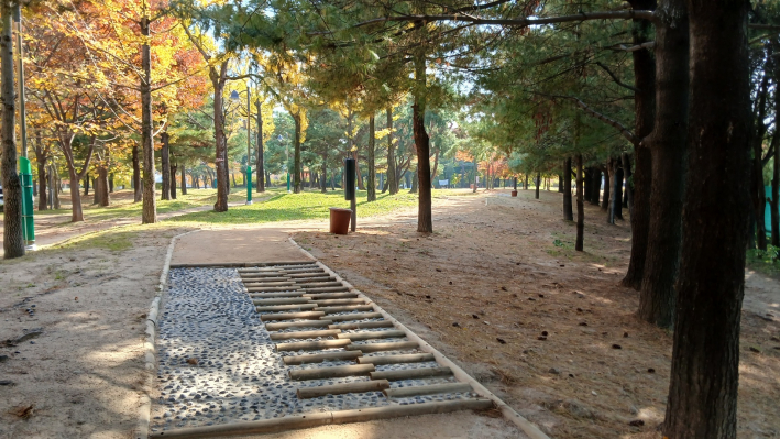 솔향기길의  맨발길 모습