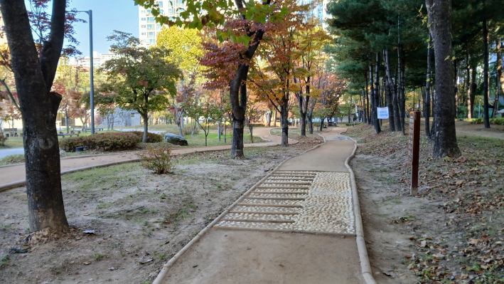 대유평공원 맨발길
