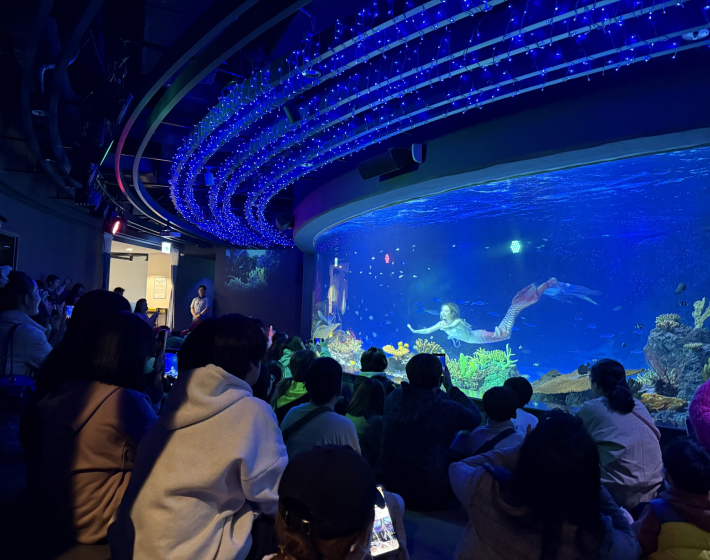 드림스타트 대상 아동 가정 320명, 광교 아쿠아플라넷서 특별한 하루    