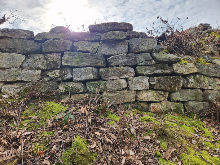  '성곽과 시대의 삶, 찾아가는 미래 – 성곽 프로젝트' 답사, 용인 할미산성 성벽