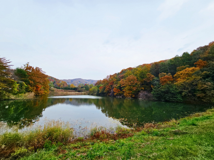 할미산성입구 동백저수지 풍경