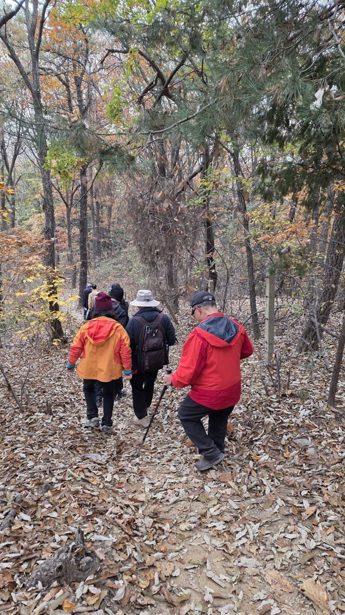 할미산성 가는 길