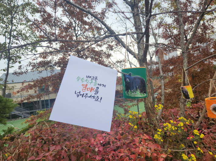 열매 넣기 게임