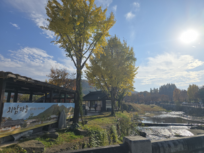 물길과 은행나무가 어우러진 외암마을 초입 전경. '살아있는 민속박물관'이라 불릴 만큼 전통가옥과 자연 경관이 조화롭다.