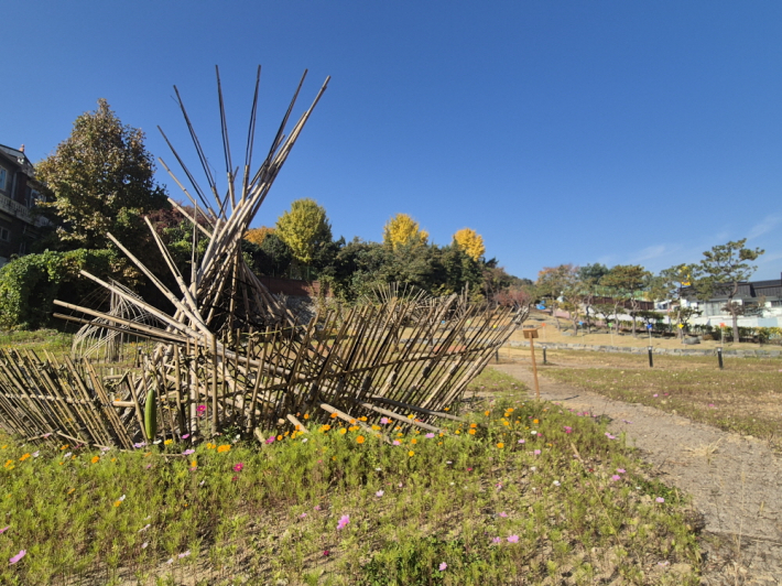 코스모스가 파빌리온을 감싸며 가을빛을 완성한 하남지터, 사라진 연못의 기억이 되살아난 순간이다.