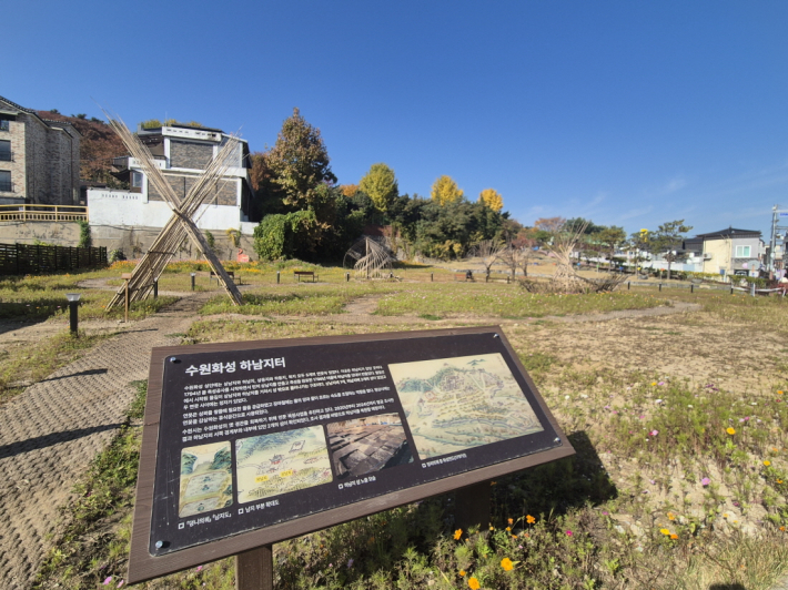 11월의 하남지터는 코스모스와 바람이 함께! 가을의 장면을 펼쳐내고 있었다.