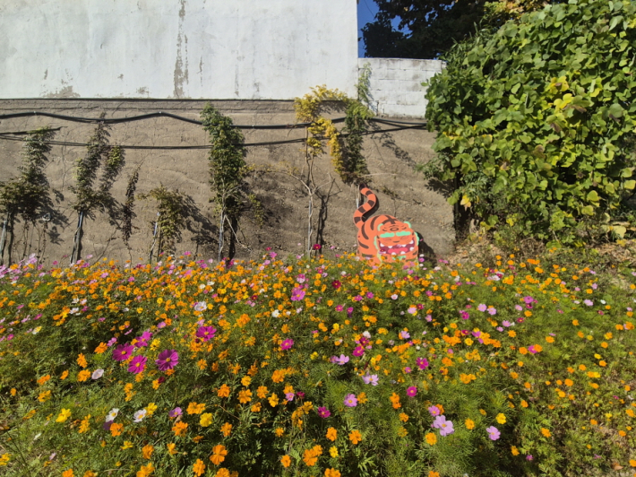 다양한 가을꽃이 자리해, 걸음마다 사진이 되는 풍경이 이어진다.