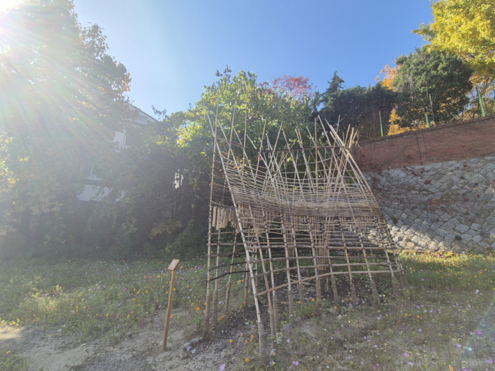 코스모스와 파빌리온이 한자리에 모여, 가을빛으로 물든 하남지터의 새로운 얼굴을 드러내고 있었다.