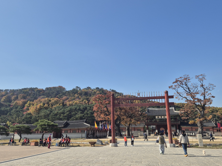 지금 수원화성은 단풍이 절정이다. 이번 주말 가볼 만한 곳으로 추천!