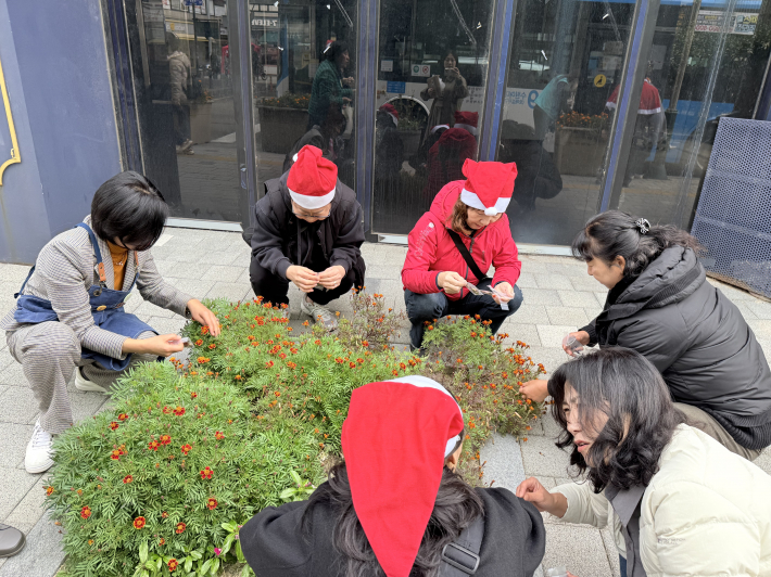 주민들에게 메리골드 씨앗을 나눔하기 위해, 삼삼오오 정원에 핀 메리골드 꽃에서 씨앗을 수확하고 있다.