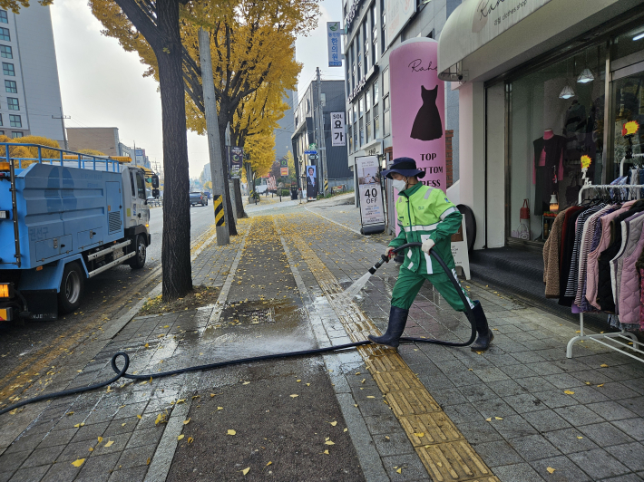 오목천동 은행나무 열매 청소 작업