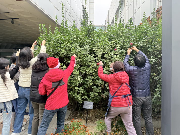 손바닥 정원에 크리스마스트리, 만드는 산타