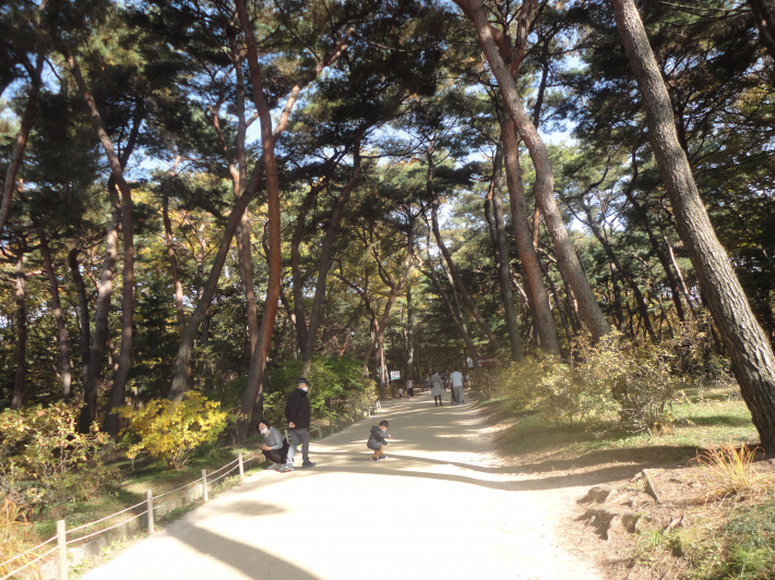 손자의 노는 모습을 바라보는 할아버지