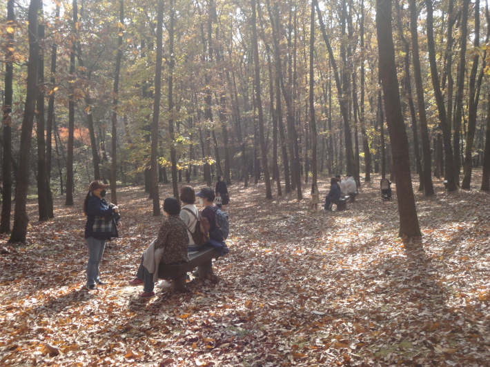 도토리나무 숲에서 망중한을 즐기는 관광객들