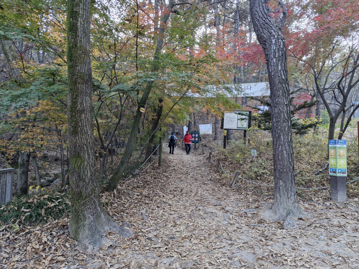 용화사 입구에서 칠보산 오르는 등산로. 가을이 깊었다.  