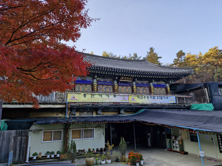 용화사. 붉은 단풍나무가 마음도 물들인다.   