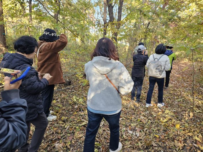 거울을 이용  자연을 보는 방법