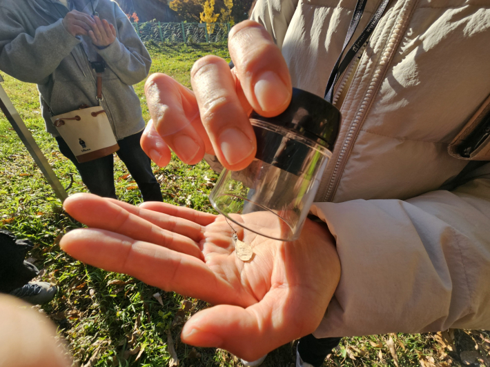 루페를 활용 작은 꽃이나 씨앗을 관찰하다
