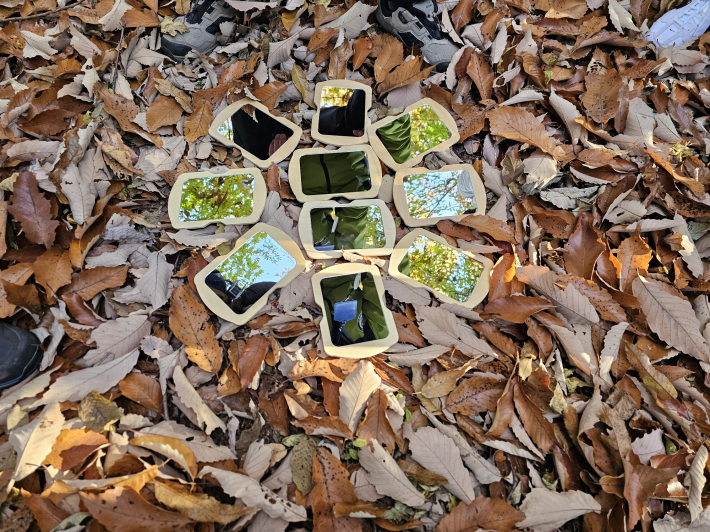 숲에 놓인 옹달샘. 스마트폰 여럿을 붙여놓으면   옹달샘처럼 보인다.