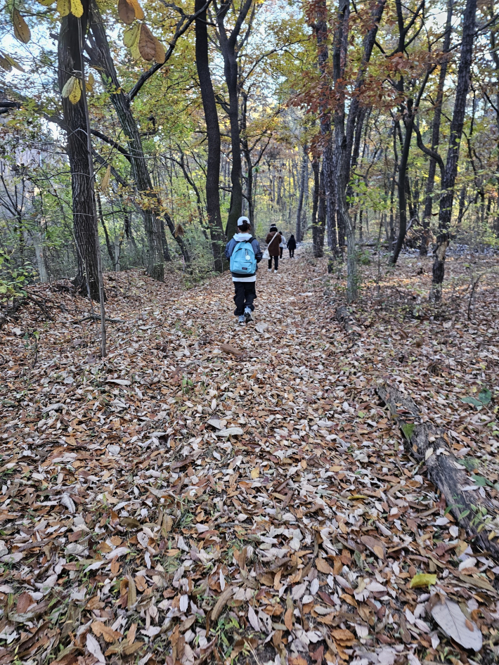 쉼길을 홀로 걸어간다