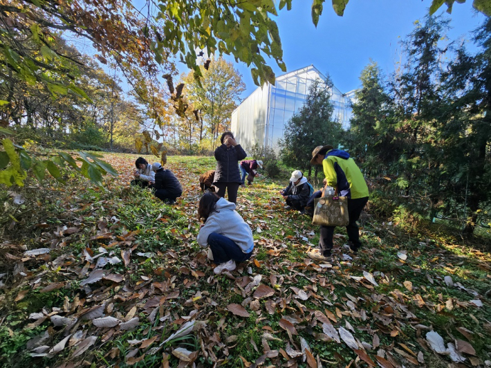 낮은 자세로 식물을 살피다