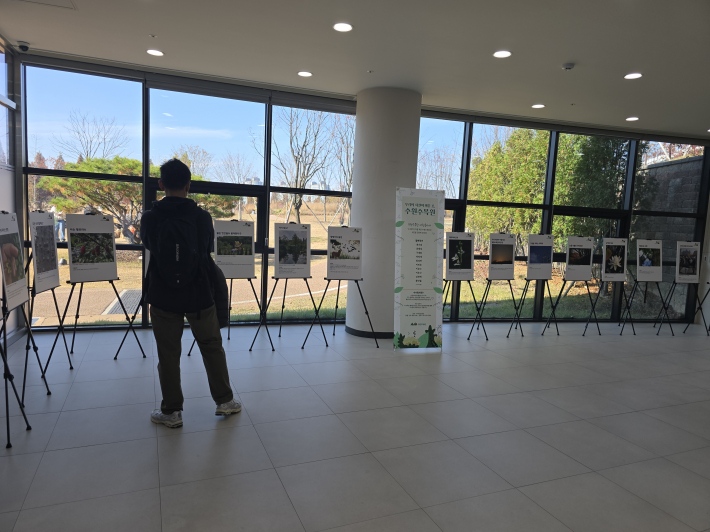 방문자센터 한편에 마련된 '수수랑 사진전'을 관람하고 있는 시민