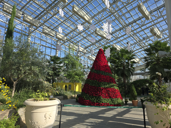 드라마 <눈물의 여왕> 촬영지로도 유명한 전시온실. 붉은 포인세티아 트리와 눈꽃 장식이 벌써부터 크리스마스의 설렘을 전해준다