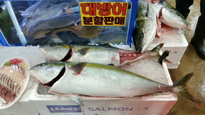 제철 대방어가 꼬리를 흔들고 있는 자면, 초겨울 방어는 기름이 올라 가장 맛이 좋다는 평가를 받는다.