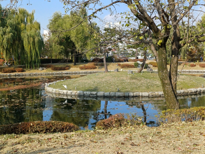 방화수류정 아래 연못에 황새부부가 보인다.