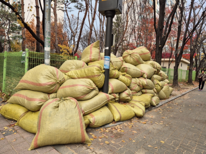 낙엽 일부는 퇴비 거름으로 사용되고 나머지는 소각하게 된다