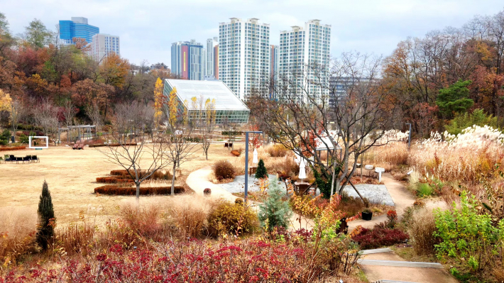  겨울 정원의 풍경