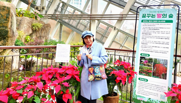  전시 소개 패널과 붉은 포인세티아